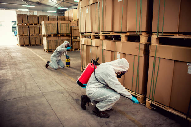 Best Pest Inspection Near Me  in Chariton, IA