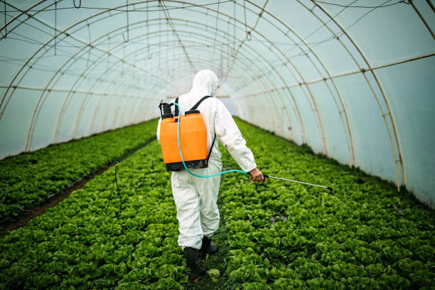 Best Pest Prevention Services  in Chariton, IA
