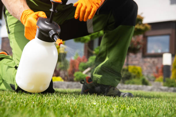 Best Insect Control  in Chariton, IA