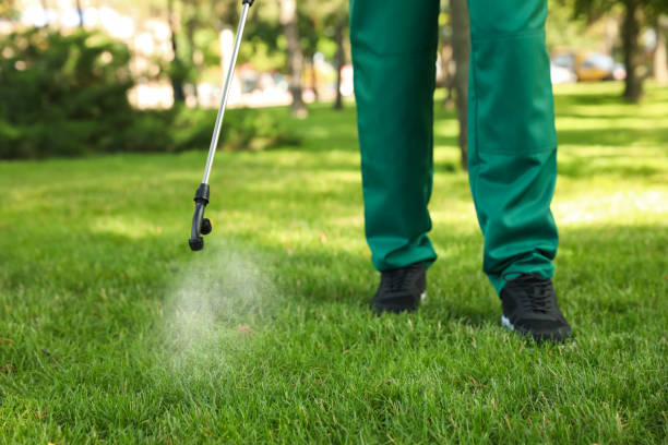 Best Pest Control Near Me  in Chariton, IA