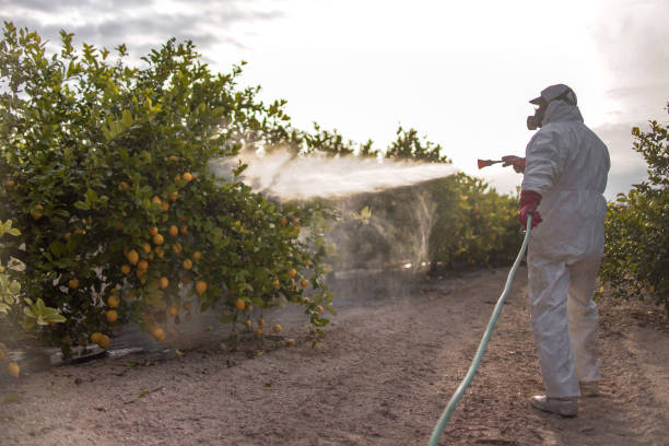 Best Pest Control Near Me  in Chariton, IA