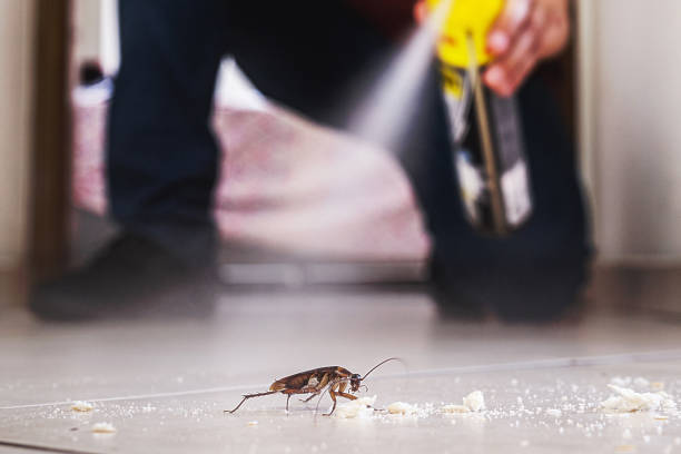 Pest Control for Restaurants in Chariton, IA
