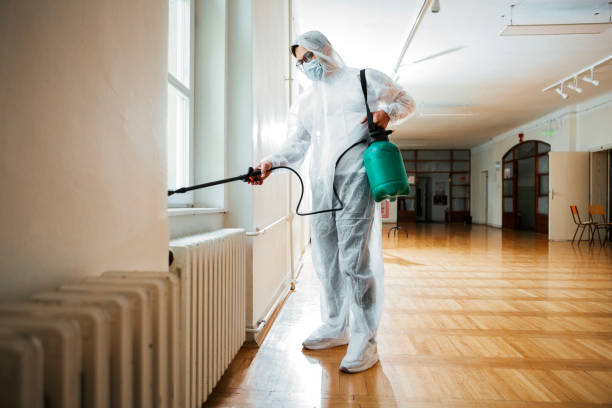 Best Pest Removal Services  in Chariton, IA