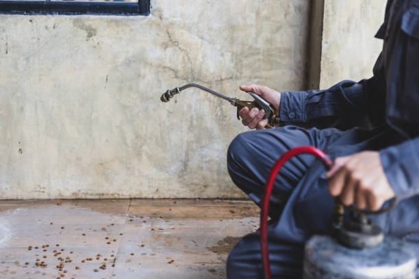 Best Commercial Pest Control Services  in Chariton, IA
